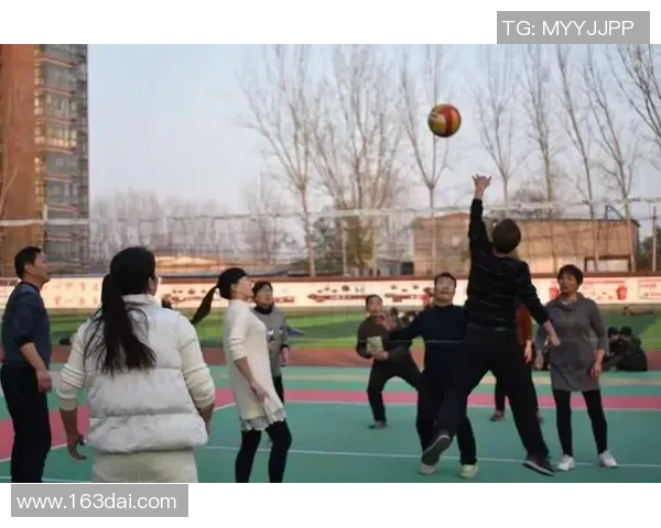 从零起步掌握排球团队协作技巧与策略全解析